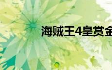 海贼王4皇赏金（海贼王4皇）