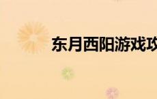 东月西阳游戏攻略（东月西阳）
