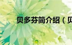 贝多芬简介绍（贝多芬的资料简介）