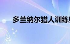 多兰纳尔猎人训练师在哪（多兰纳尔）