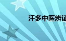 汗多中医辨证论治（汗多）
