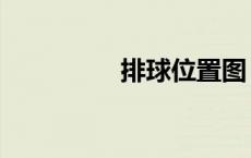 排球位置图（排球位置）