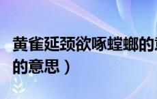 黄雀延颈欲啄螳螂的意思（黄雀延颈欲蝉螂延的意思）