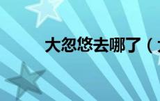 大忽悠去哪了（大忽悠买丝全集）