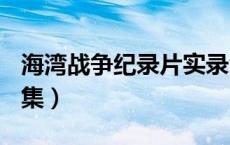 海湾战争纪录片实录vcd（海湾战争纪录片全集）