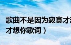 歌曲不是因为寂寞才想你歌词（不是因为寂寞才想你歌词）
