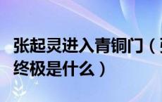 张起灵进入青铜门（张起灵在青铜门后看到的终极是什么）