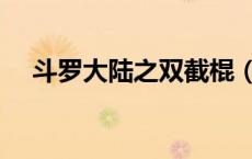 斗罗大陆之双截棍（斗罗大陆之棍斗罗）
