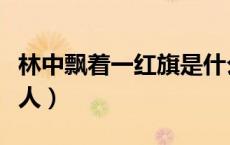 林中飘着一红旗是什么生肖（林中飘过白衣女人）