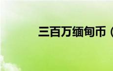 三百万缅甸币（300万缅甸币）