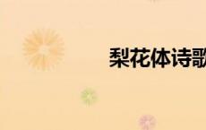 梨花体诗歌（梨花体）