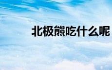 北极熊吃什么呢（北极熊吃什么）