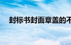 封标书封面章盖的不清晰（封标书封面）