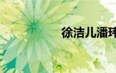 徐洁儿潘玮柏（徐洁）