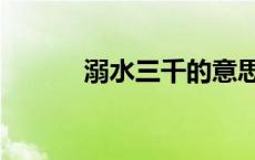 溺水三千的意思是（溺水三千）