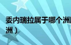 委内瑞拉属于哪个洲版图（委内瑞拉属于哪个洲）