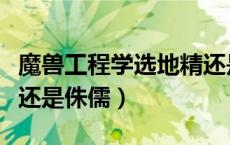 魔兽工程学选地精还是侏儒（魔兽工程学地精还是侏儒）