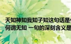 天知神知我知子知这句话是什么意思（天知 神知 我知 子知 何谓无知 一句的深刻含义是什么）