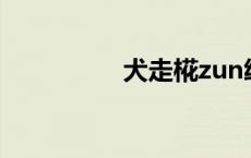 犬走椛zun绘（犬走椛）