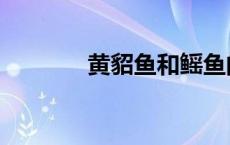 黄貂鱼和鳐鱼的区别（黄貂）