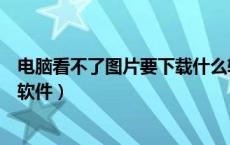 电脑看不了图片要下载什么软件（电脑看不了图片下载什么软件）