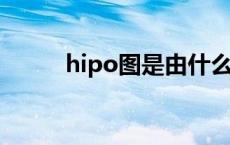hipo图是由什么组成（HIPO图）
