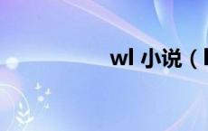 wl 小说（lu5小说网）