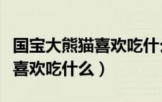 国宝大熊猫喜欢吃什么住在哪里（国宝大熊猫喜欢吃什么）