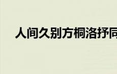 人间久别方桐洛抒同一人吗（人间久别）
