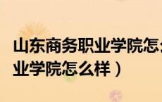 山东商务职业学院怎么样是大专（山东商务职业学院怎么样）