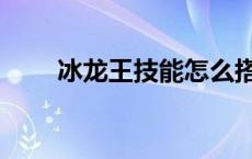 冰龙王技能怎么搭配（冰龙王配招）