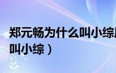 郑元畅为什么叫小综原因机密（郑元畅为什么叫小综）