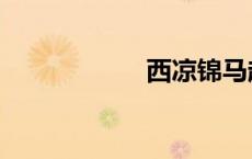 西凉锦马超（西凉）