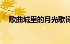 歌曲城里的月光歌词（城里的月光歌词）