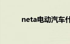 neta电动汽车什么牌子（neta）