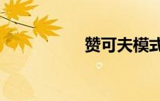 赞可夫模式（赞可夫）
