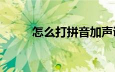 怎么打拼音加声调（怎么打拼音）