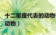 十二星座代表的动物有哪些（十二星座代表的动物）