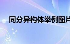 同分异构体举例图片（同分异构体举例）