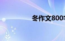 冬作文800字（冬作文）