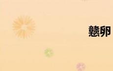 戆卵（戆）