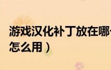 游戏汉化补丁放在哪个文件夹（游戏汉化补丁怎么用）