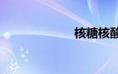 核糖核酸（核糖）