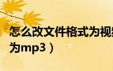 怎么改文件格式为视频格式（怎么改文件格式为mp3）