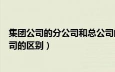 集团公司的分公司和总公司的关系（集团分公司和全资子公司的区别）