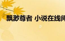 飘渺尊者 小说在线阅读（飘渺尊者 小说）
