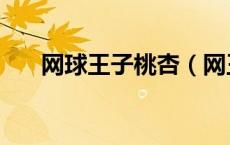 网球王子桃杏（网王同人之桃生夏树）