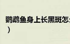 鹦鹉鱼身上长黑斑怎么治（鹦鹉鱼身上长黑斑）