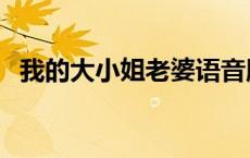 我的大小姐老婆语音版（我的大小姐老婆）