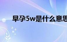 早孕5w是什么意思（5w是什么意思）